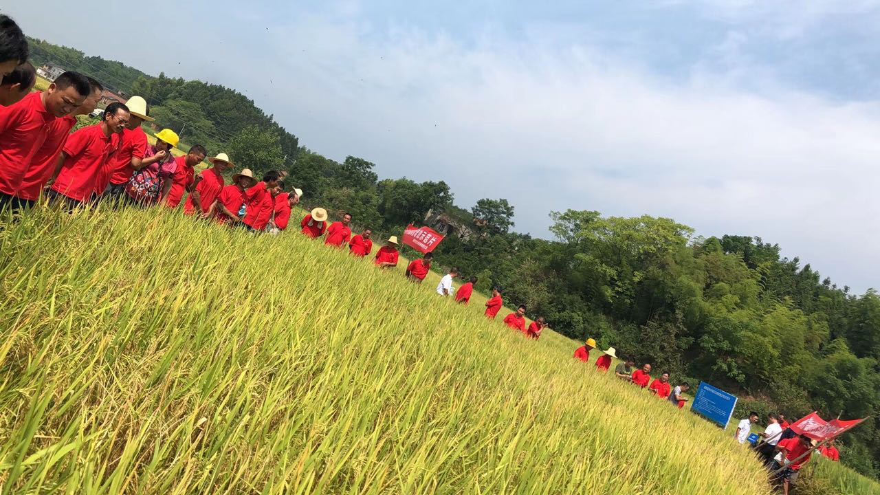 郴州市金土地化肥有限公司,湖南配方肥定點(diǎn)加工,林木肥銷售,有機(jī)肥質(zhì)量 郴州市金土地化肥有限公司,湖南配方肥定點(diǎn)加工,林木肥銷售,有機(jī)肥質(zhì)量